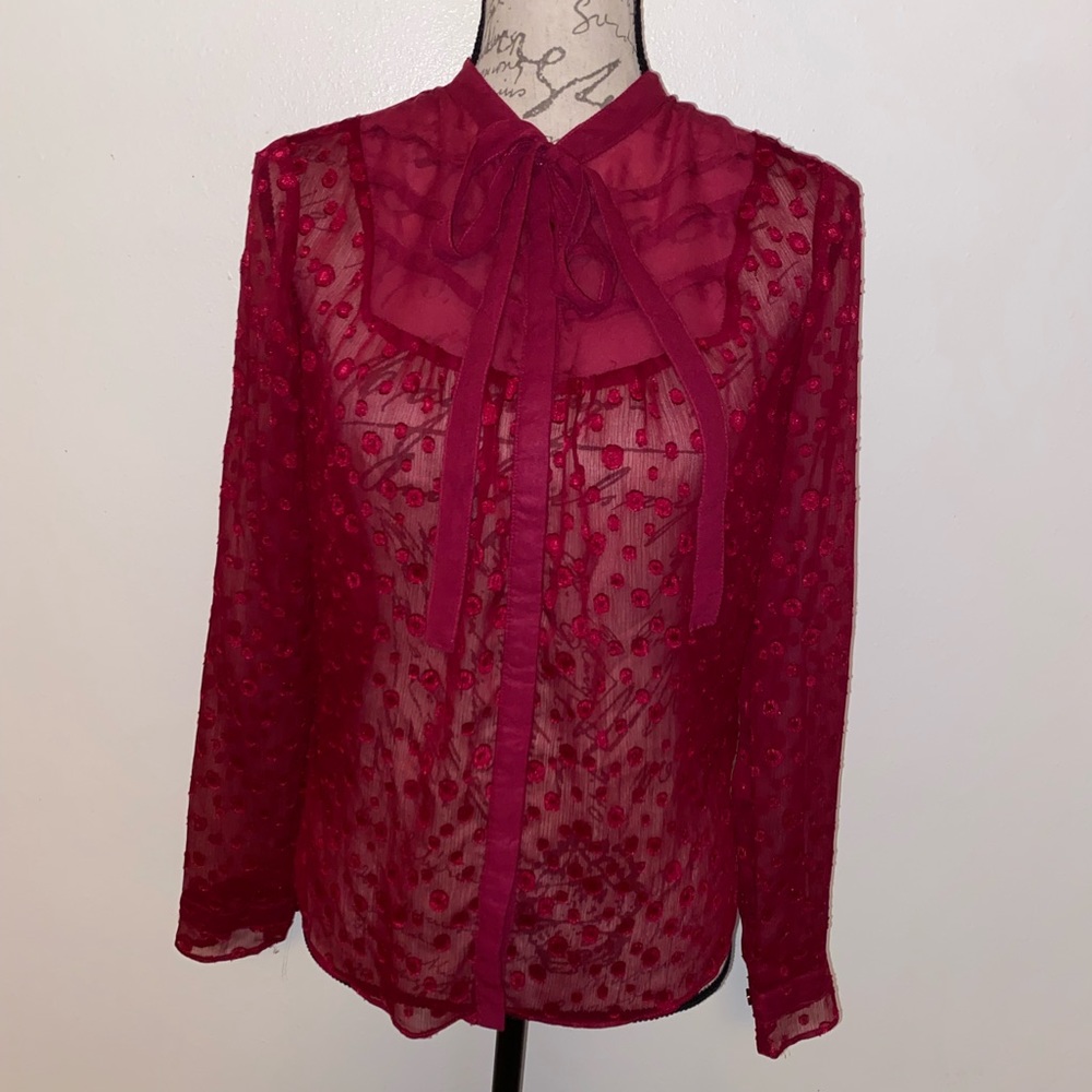 🍂BCBG Paris Semi Sheer Top🍂